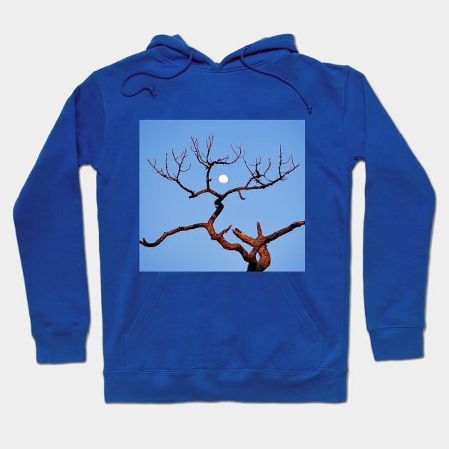 Antlers Hoodie by Dead Moroz